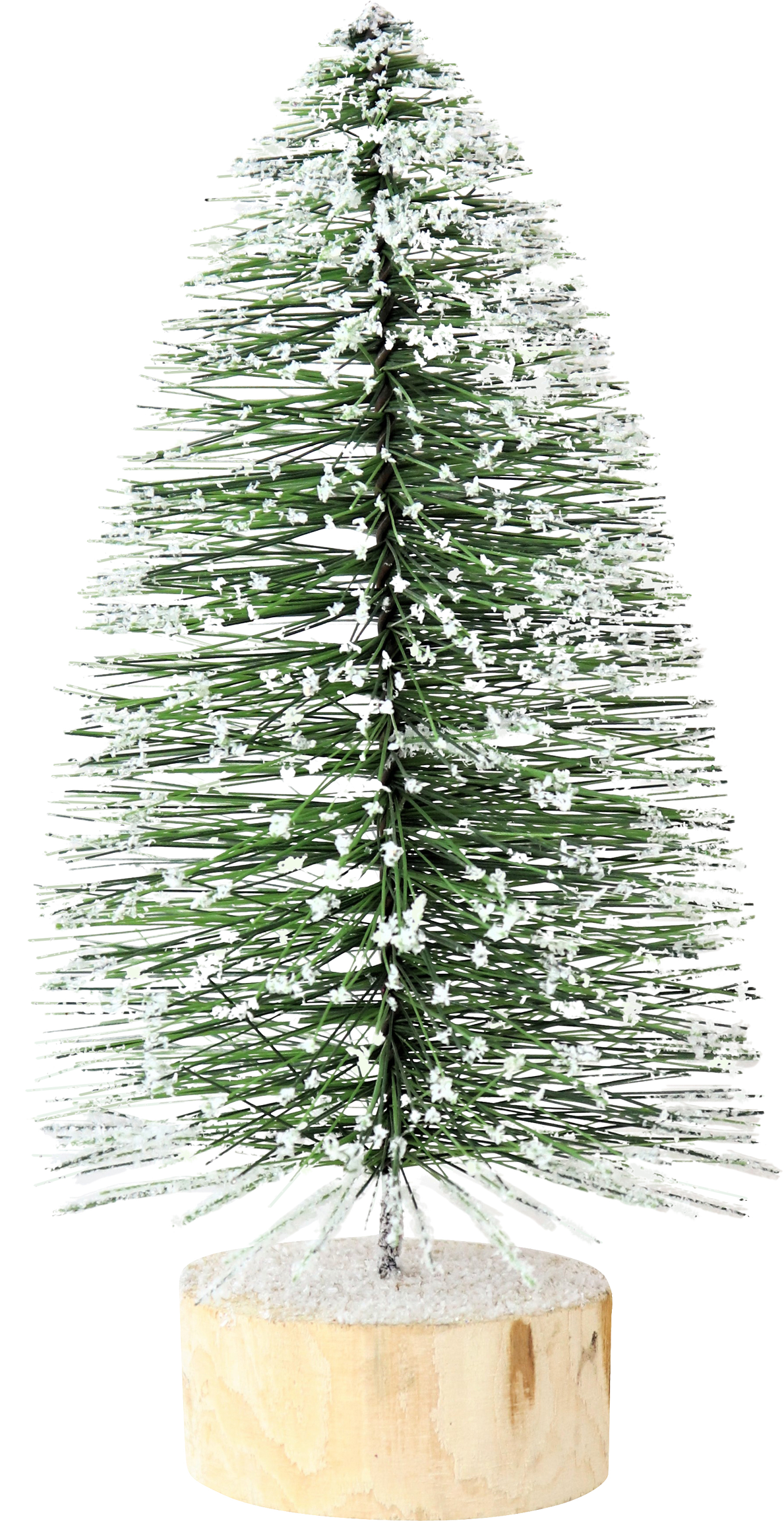 1590 TANNENBAUM GREENWOOD