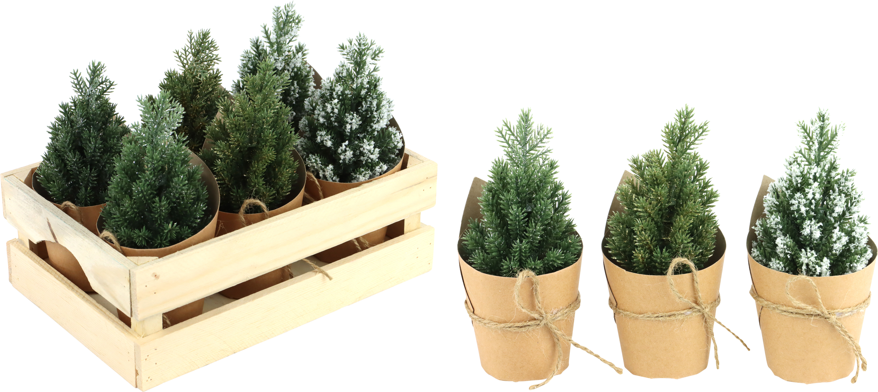 1843 BÄUMCHEN IN KISTE WINTERWALD  S/6