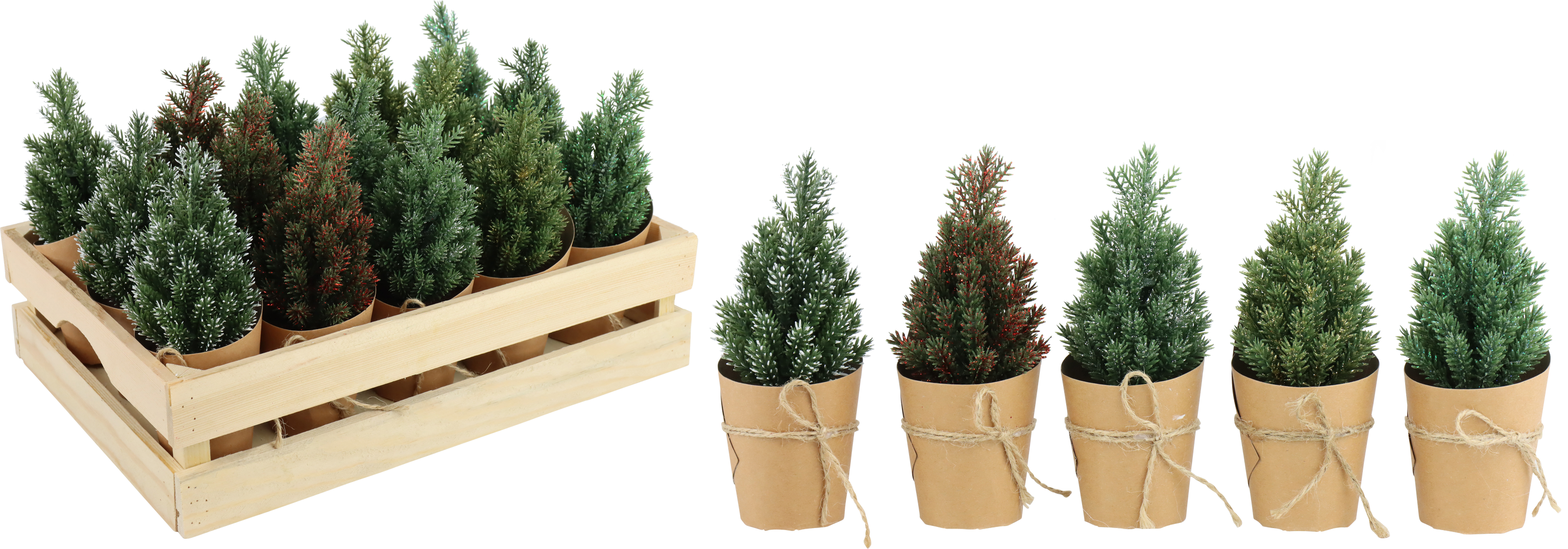 1860 BÄUMCHEN IN KISTE WINTERWALD  S/15