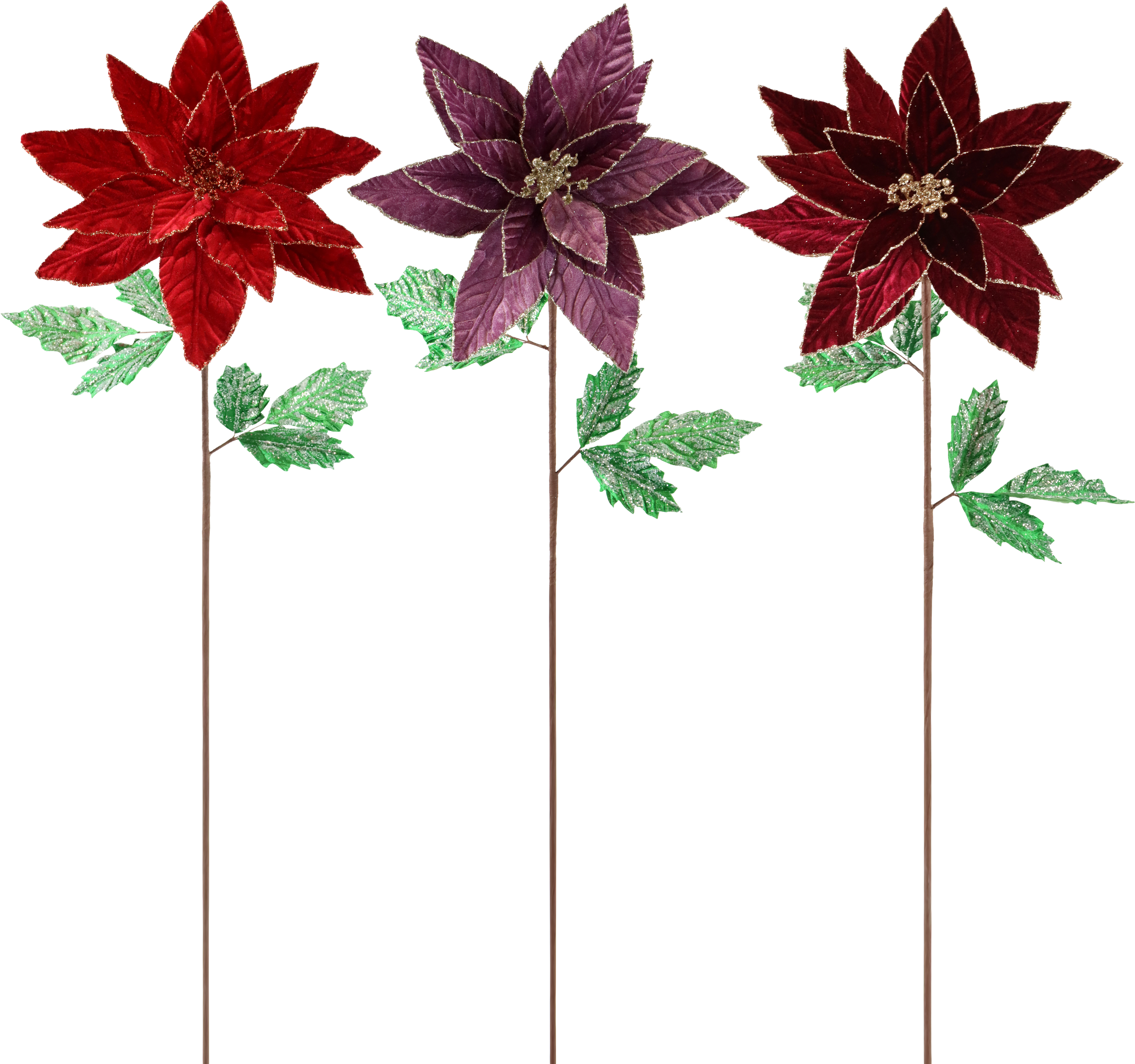 1898 BLUMENTRIO STELLA DI NATALE  S/3