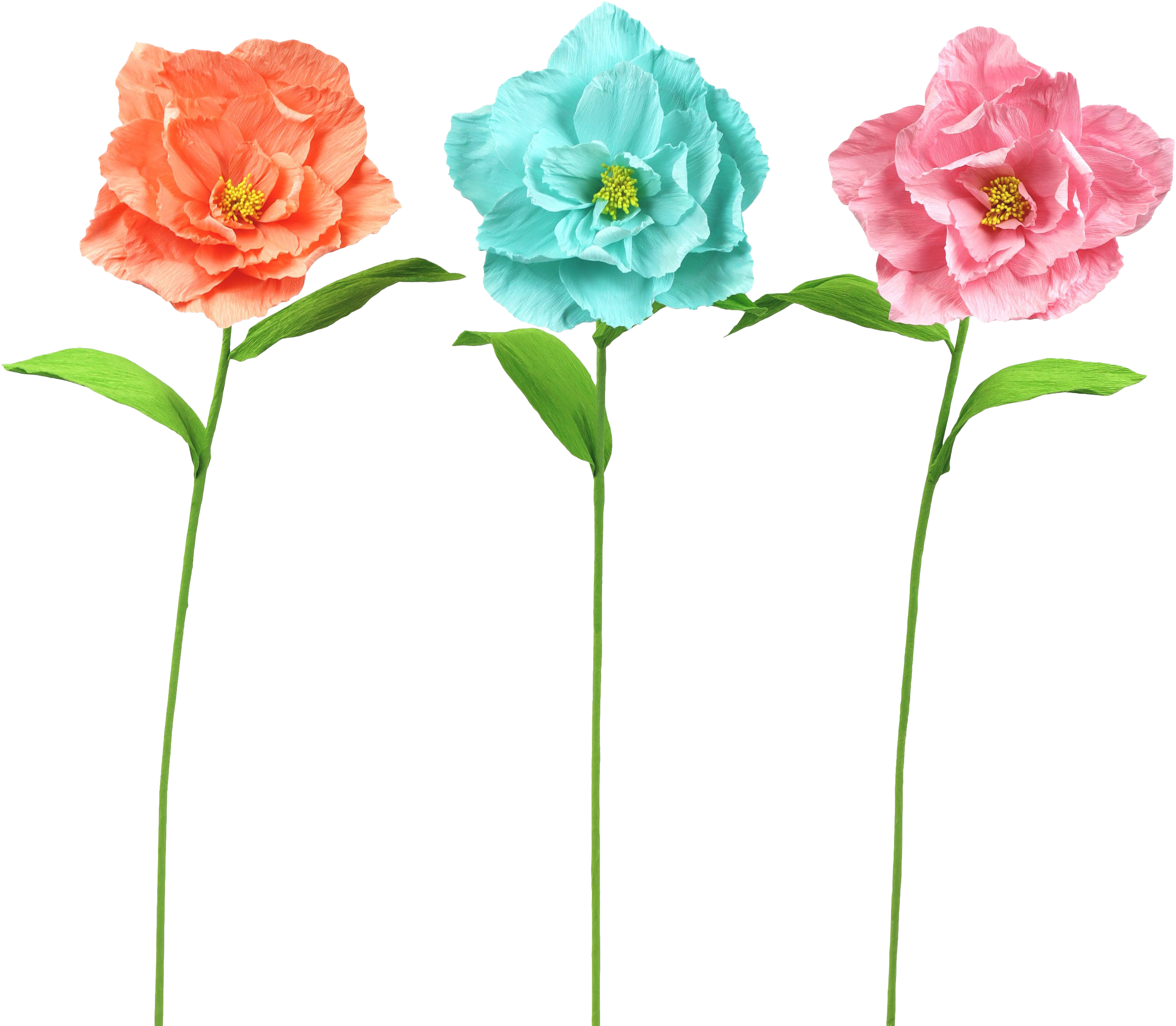 2031 BLUMENTRIO  POPPY  S/3