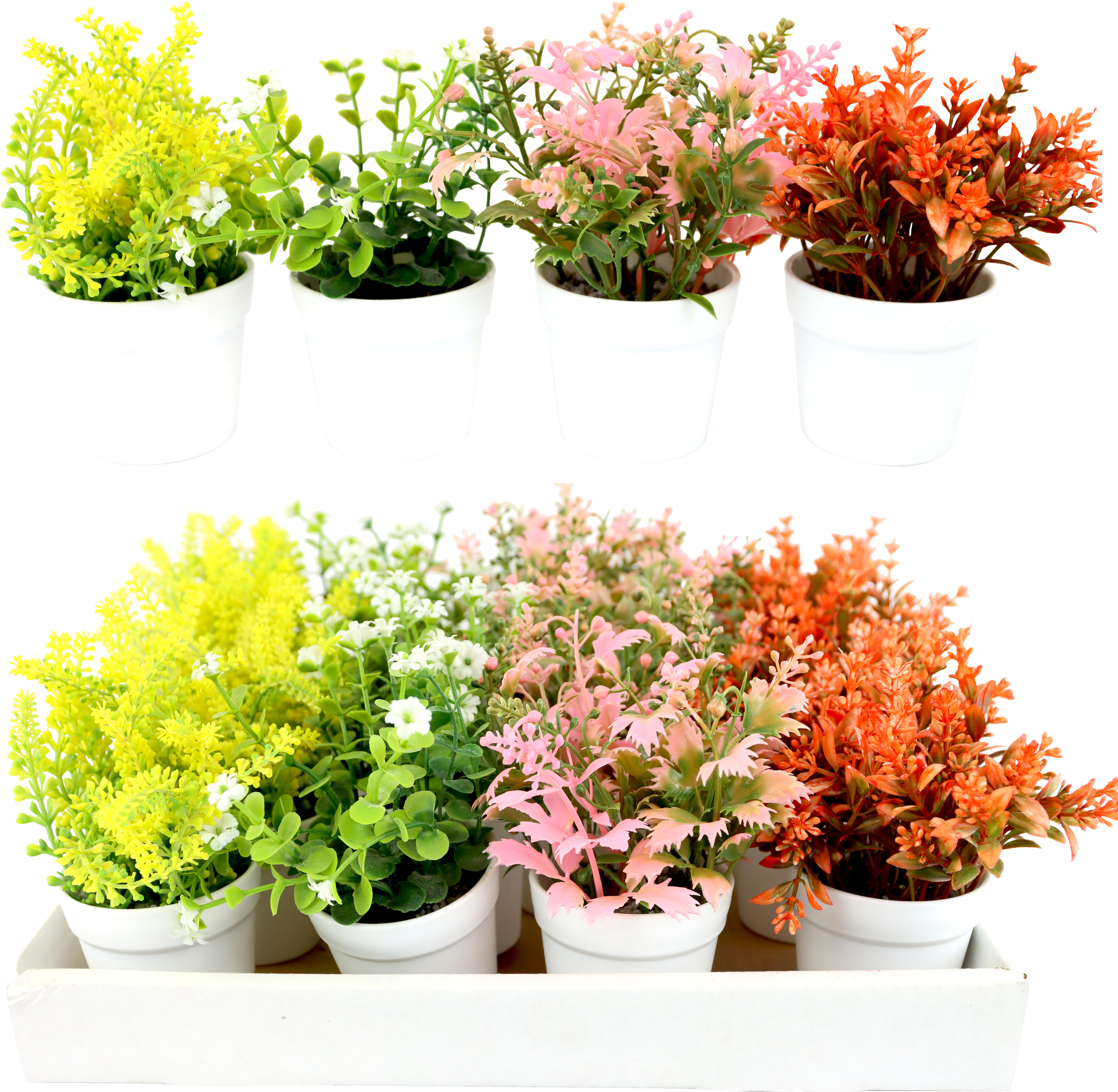 2419 DISPLAYBOX BLUMENTÖPFE  S/16