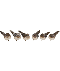 2457 BIRDS NATURAL  S/6