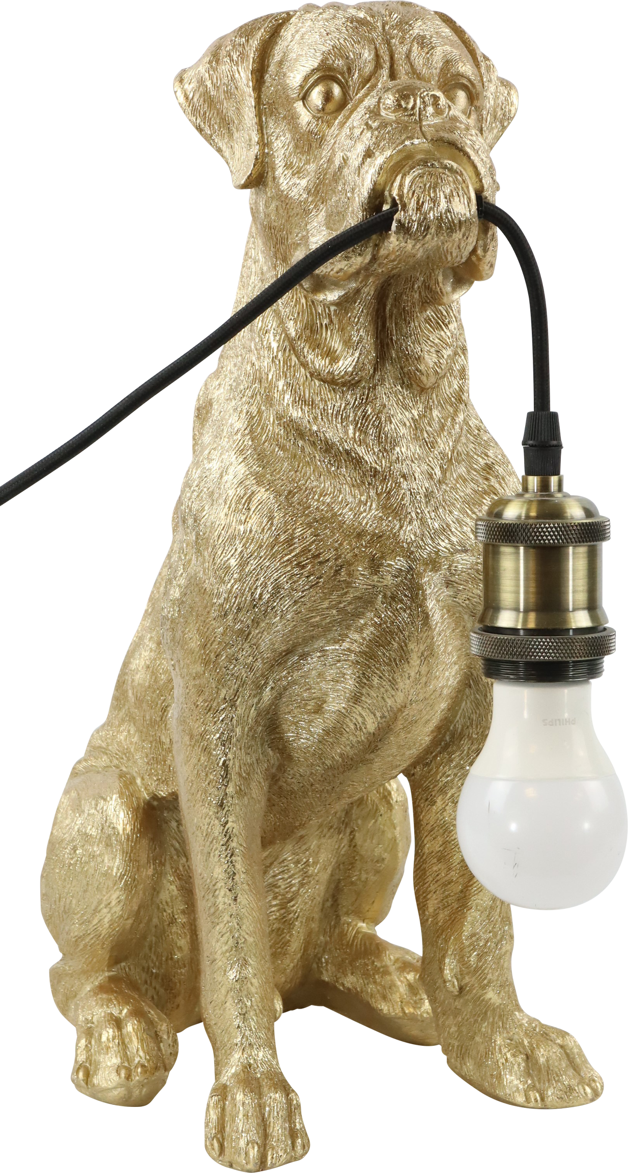 2475 LAMPE DOGGY