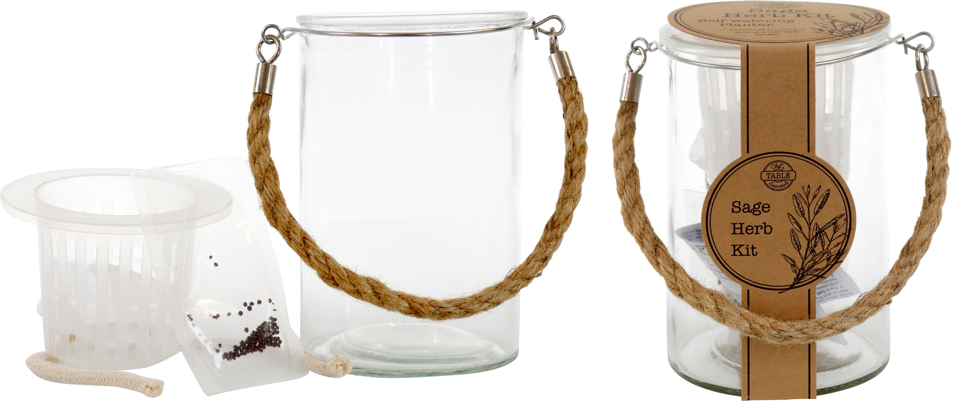 3133 PFLANZSET M. SAMEN SALBEI