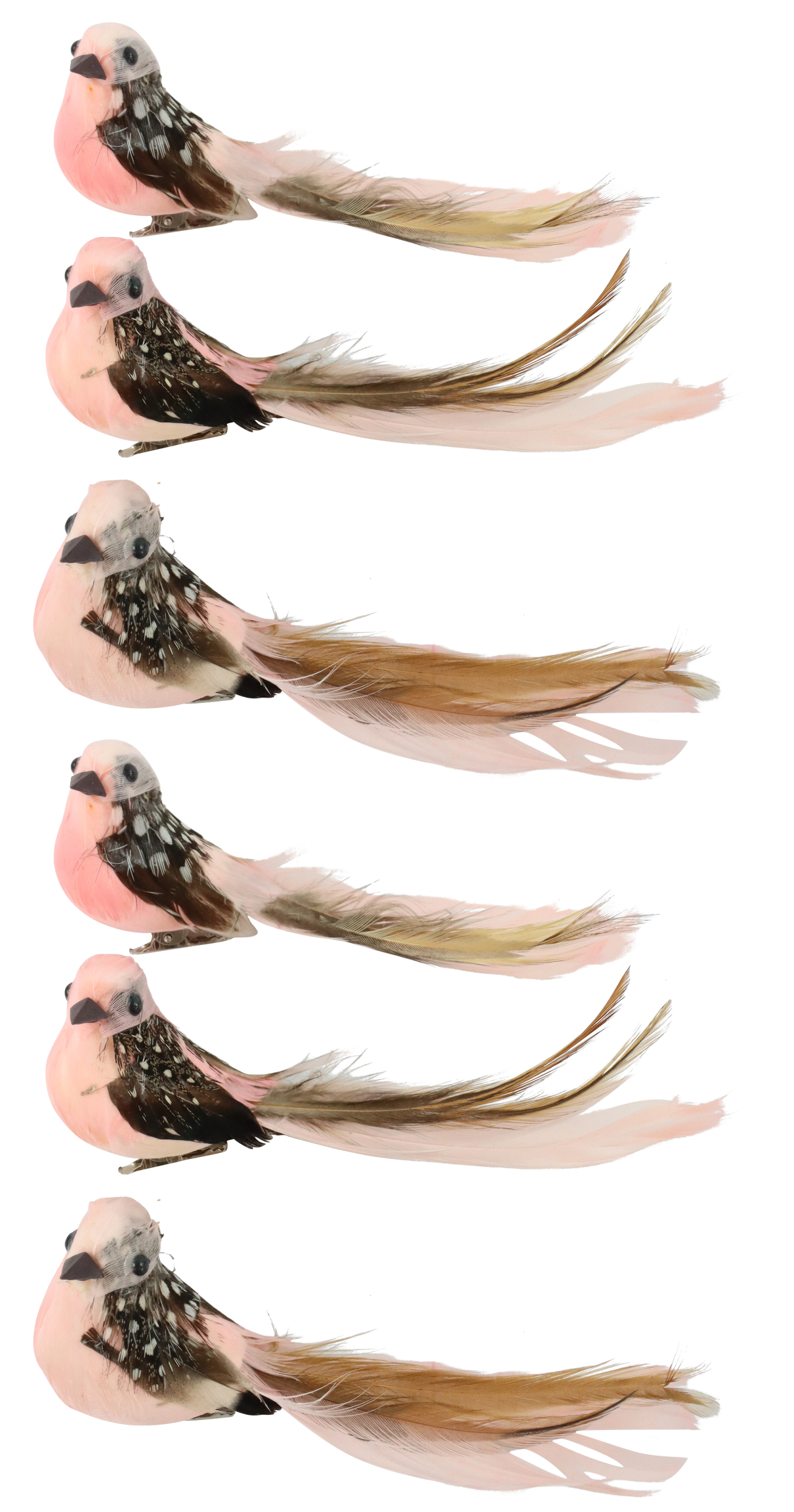 3213 VOGELKLAMMERN BIRDY  S/6