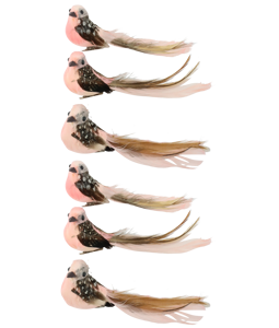 3213 ORNAMENTAL BIRDS BIRDY  S/6