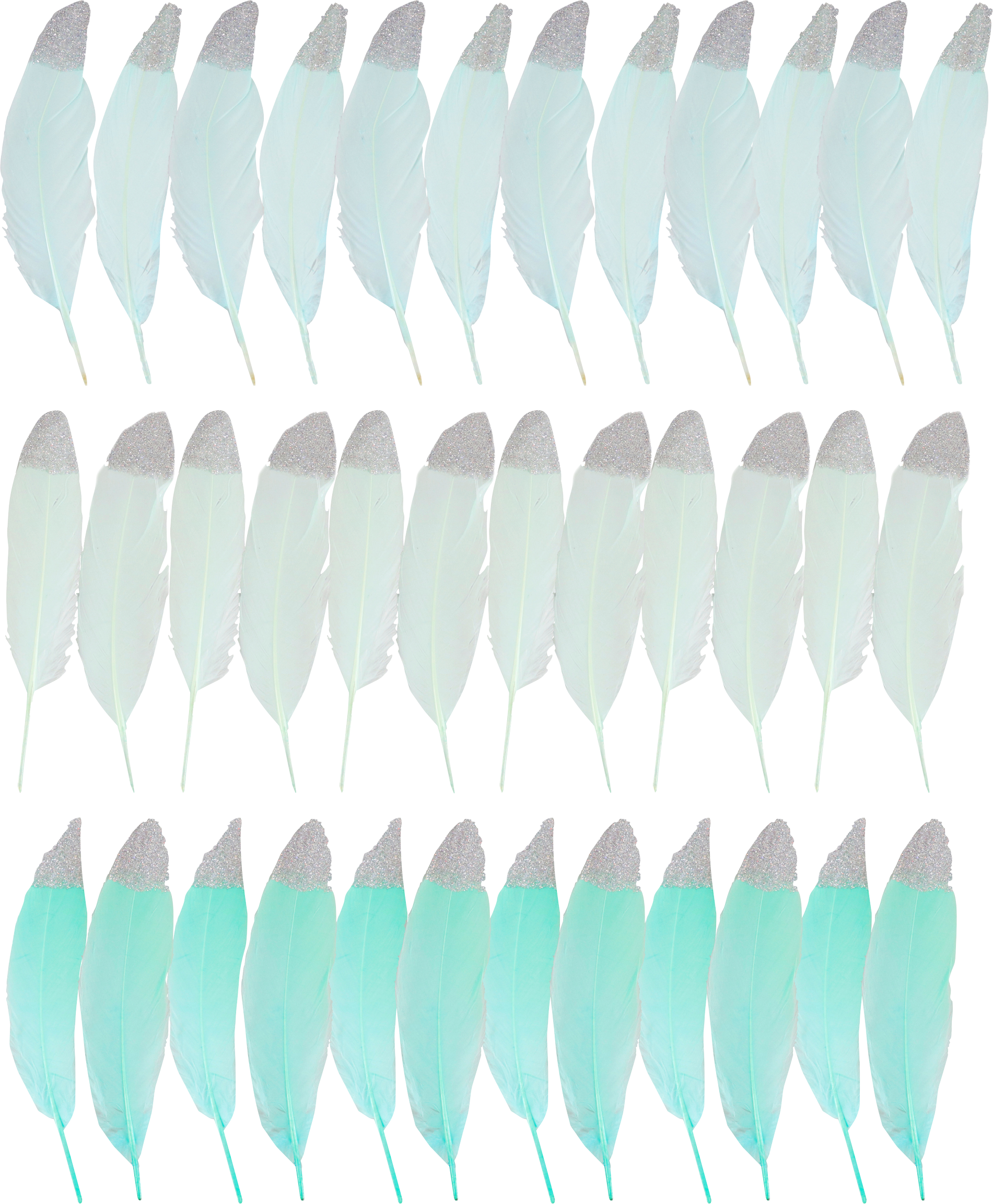 3326 ZIERFEDERN MINT  S/36