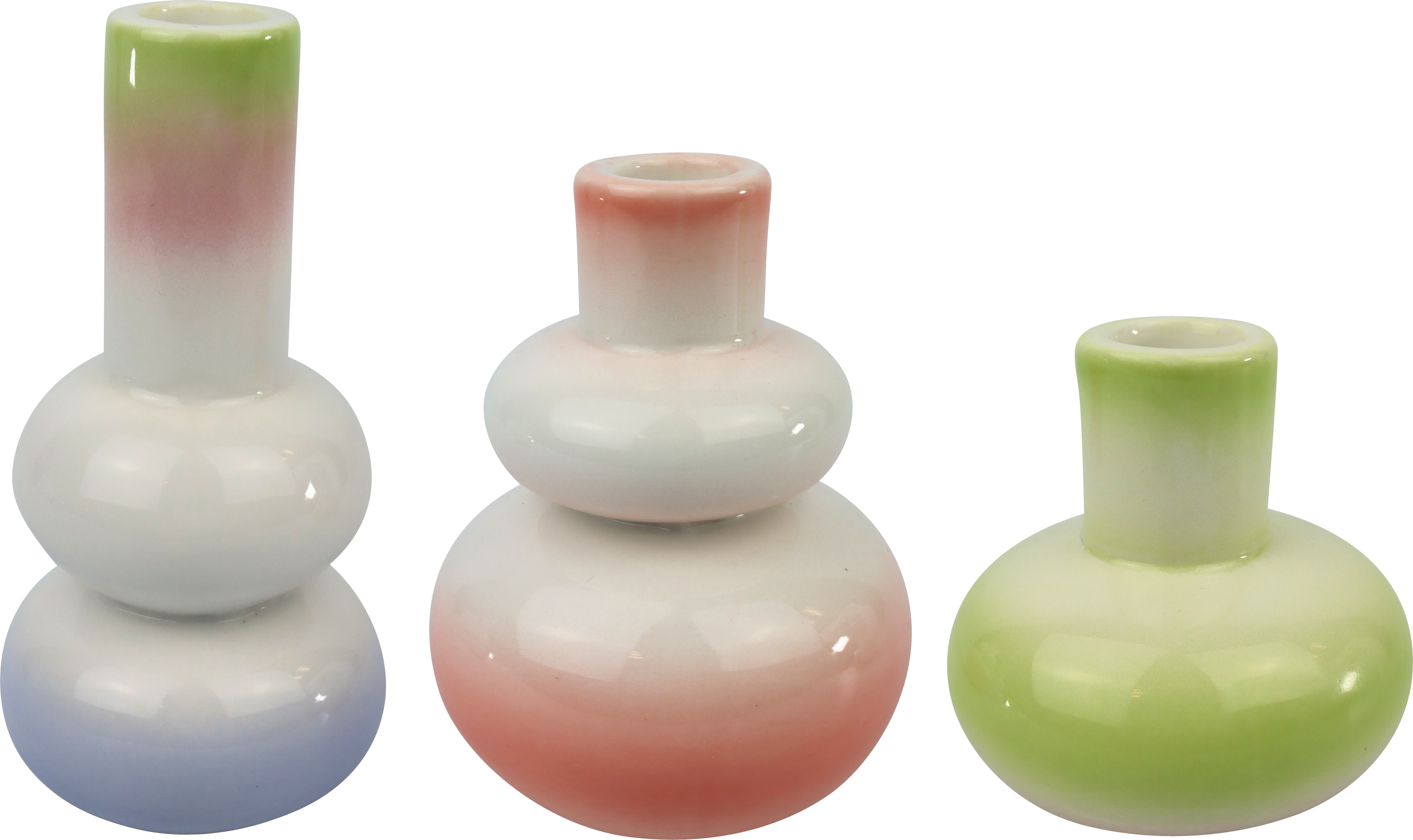 3360 VASEN VIVACE  S/3