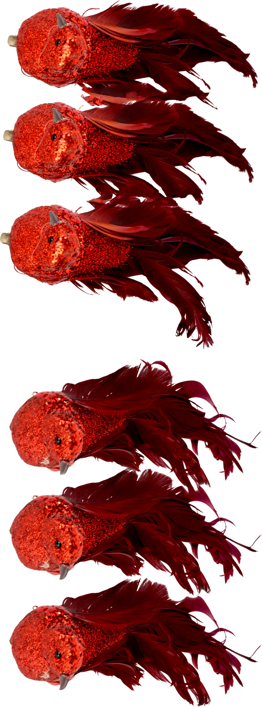 3467 VOGELKLAMMERN FEDERSTOLZ  S/6