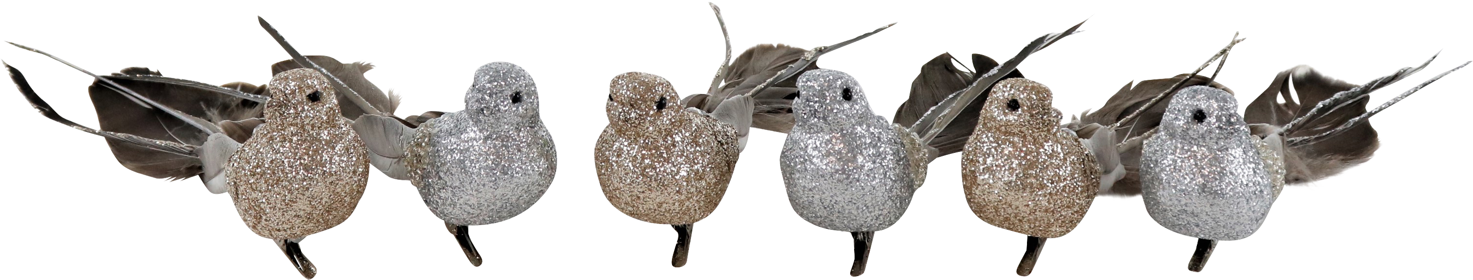 3469 VOGELKLAMMERN FEDERSTOLZ  S/6