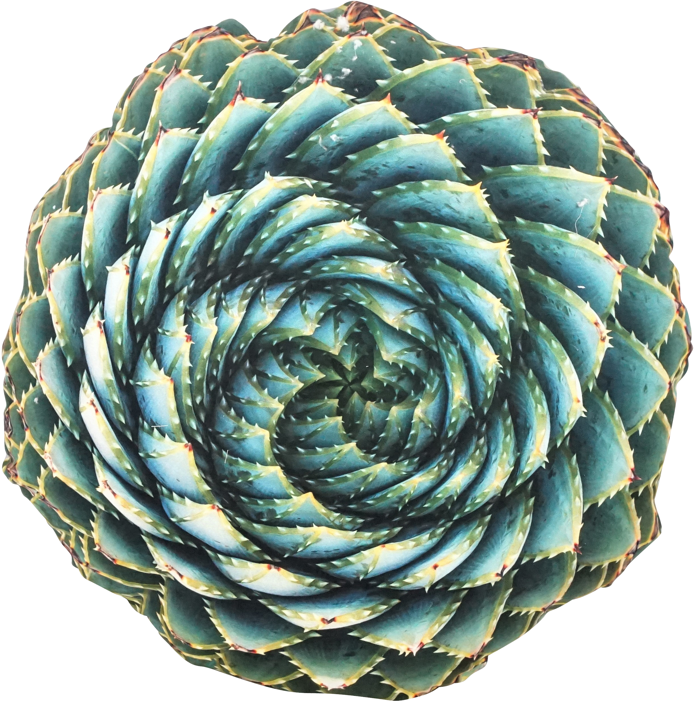 3694 KISSEN SUKKULENTE ø60