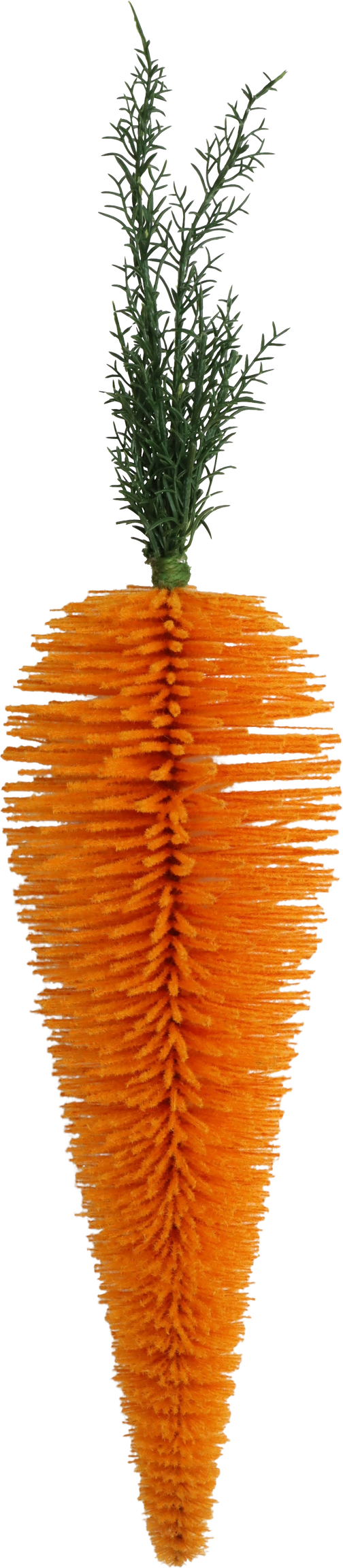 3976 RIESENMÖHRE FELIZ