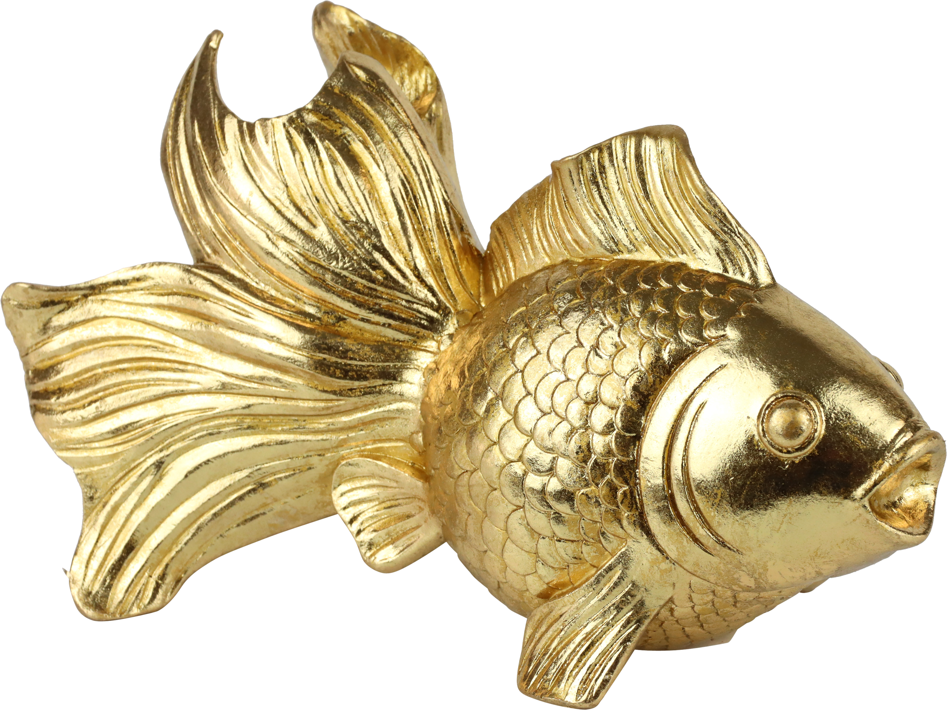 4138 FISCH GOLDRAUSCH