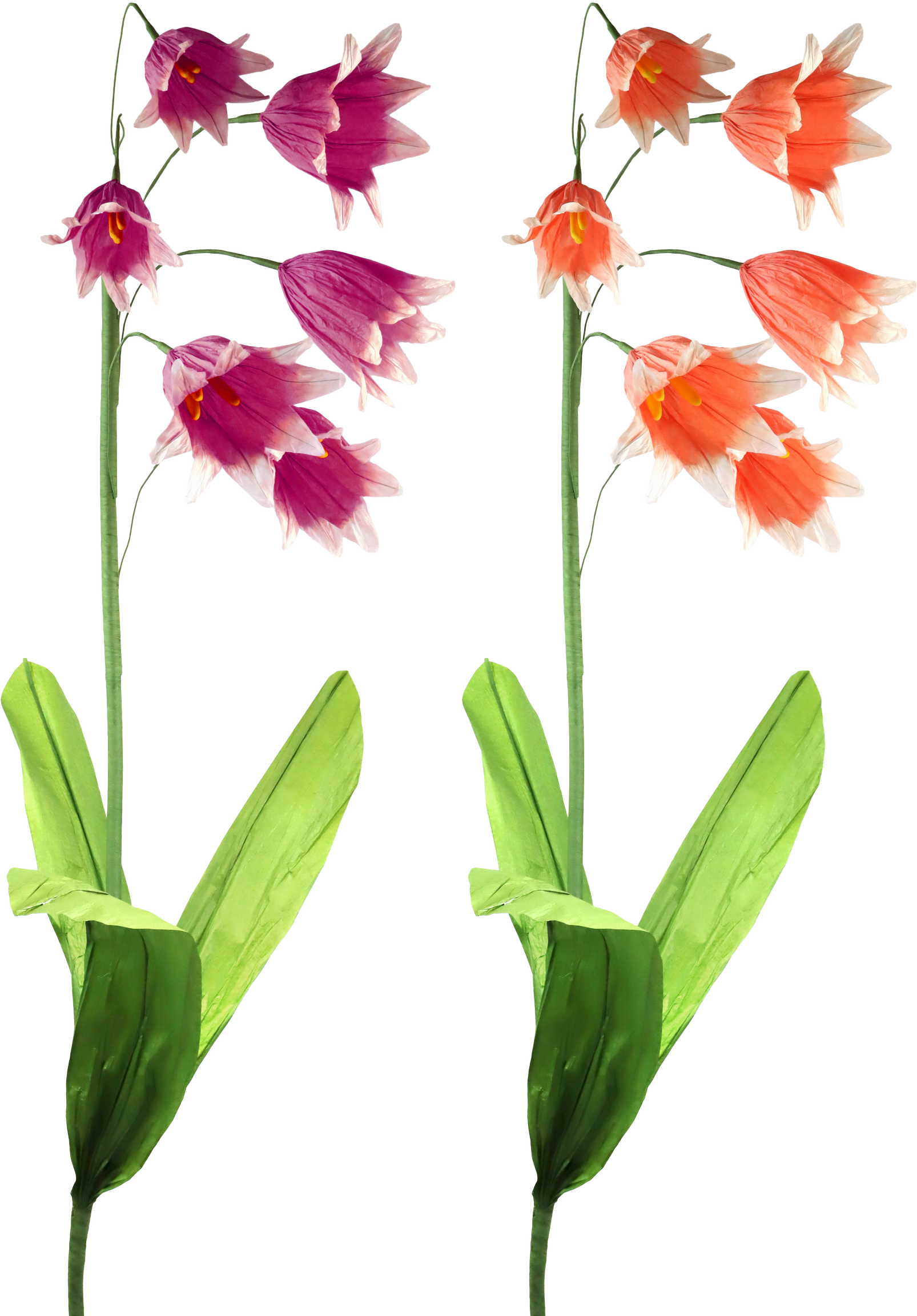 4444 DEKOBLUMEN BELLFLOWER  S/2