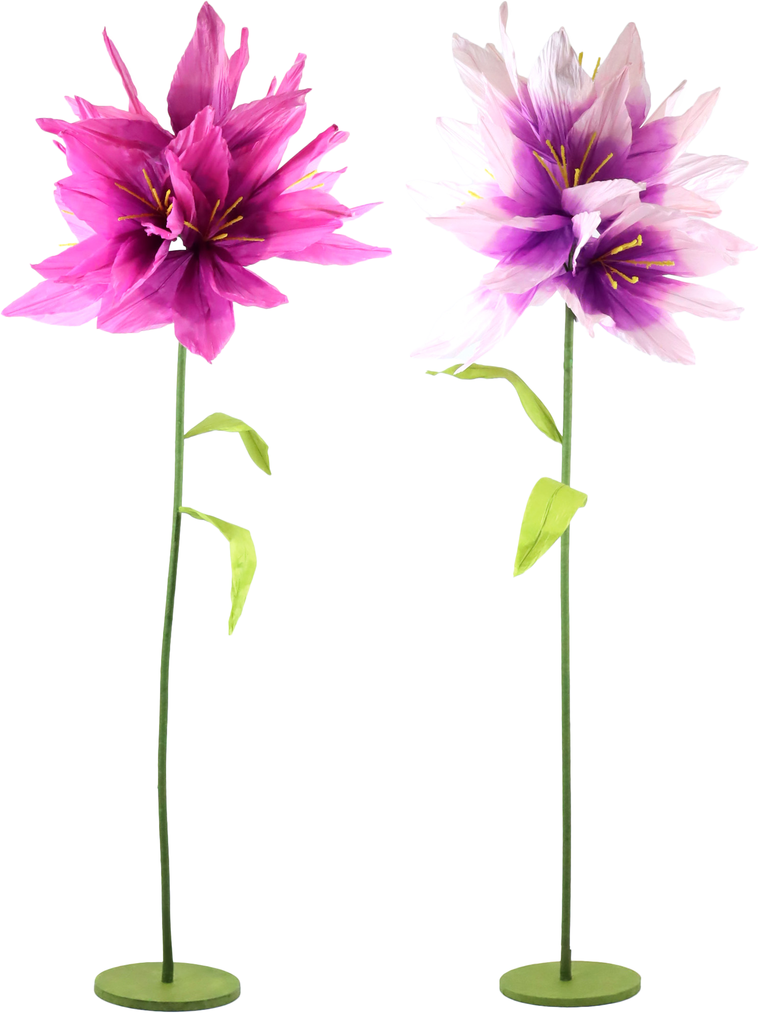 4578 DEKOBLUMEN FLEURISSE  S/2