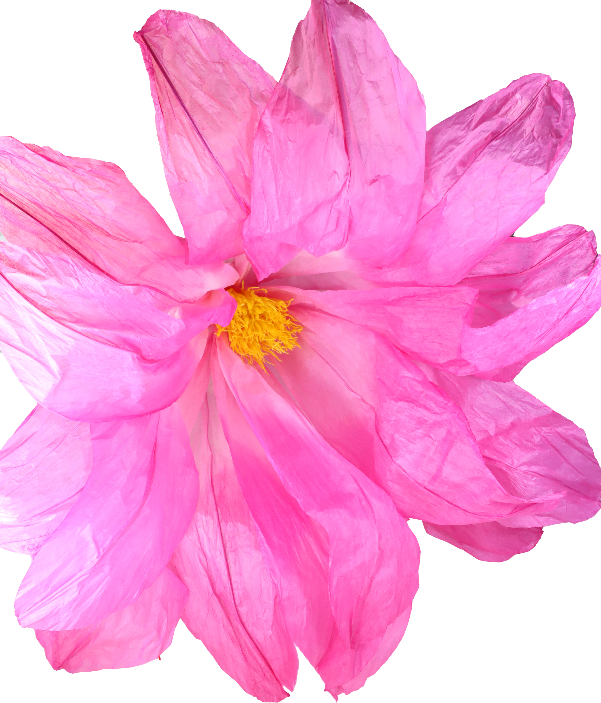 4582 XXL-BLUME LILIE