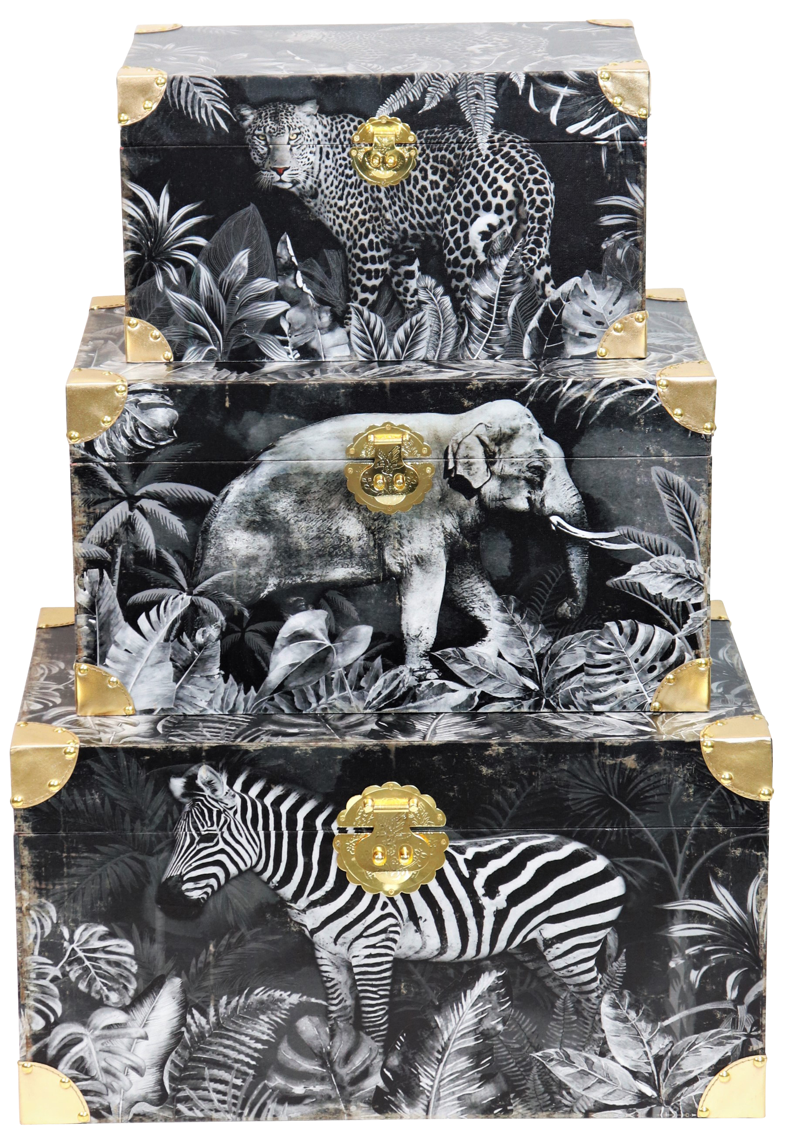 4795 TRUHEN SAFARI  S/3