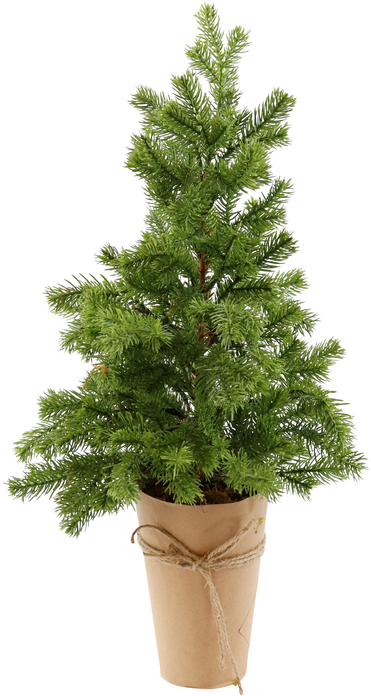 4910 TANNENBAUM IM TOPF