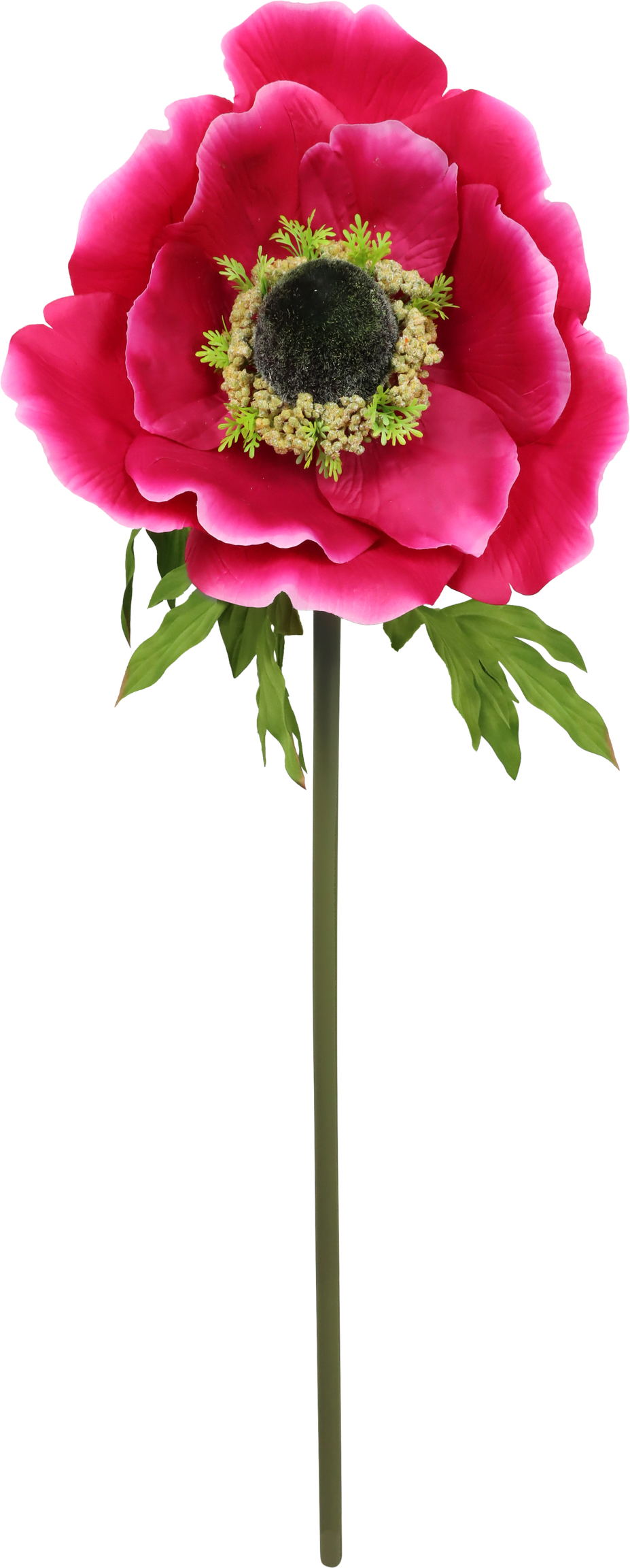 4912 RIESENBLUME ANEMONE