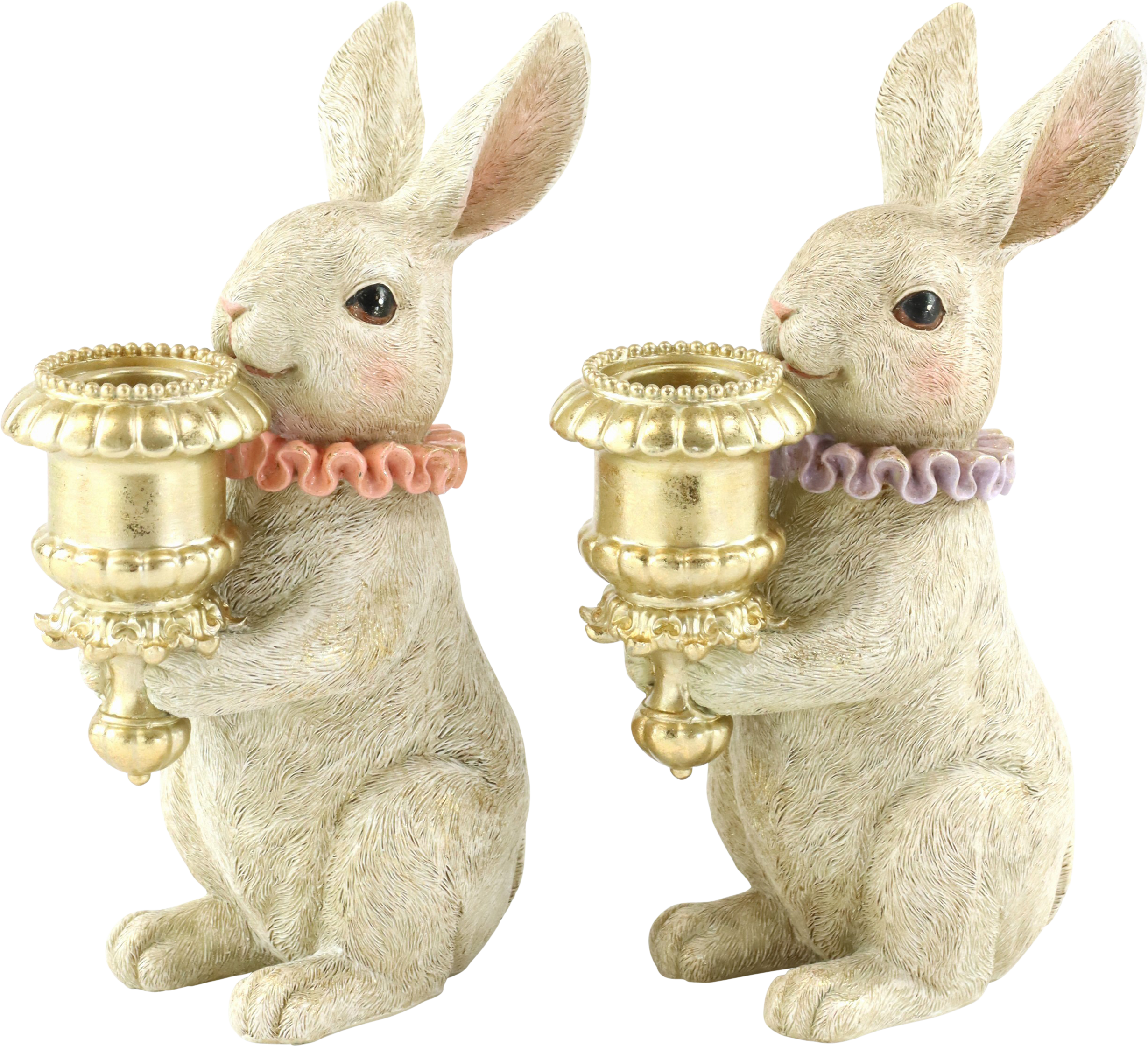5496 HASENLEUCHTER BUNNYVILLE  S/2