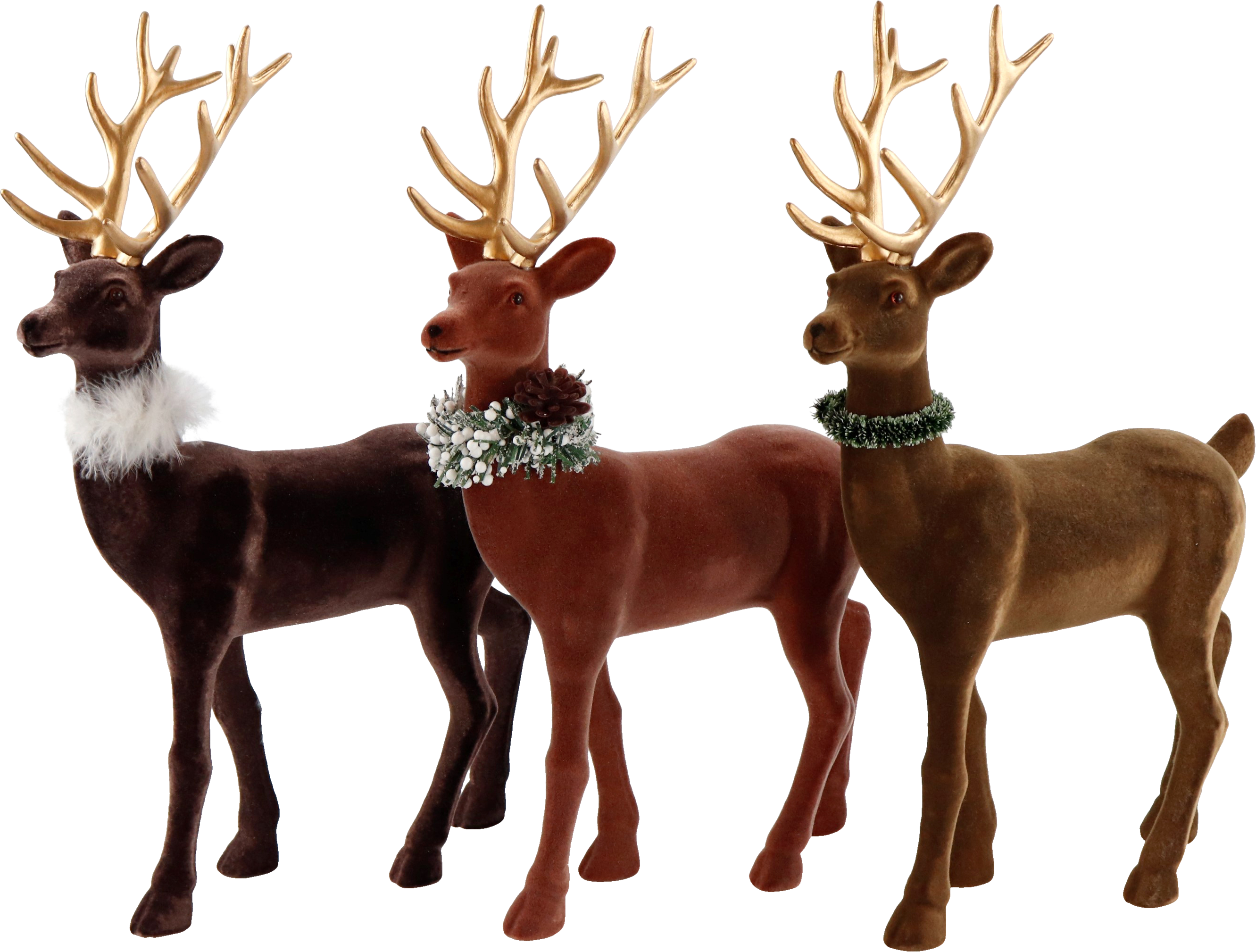 5740 HIRSCHE GINGER  S/3