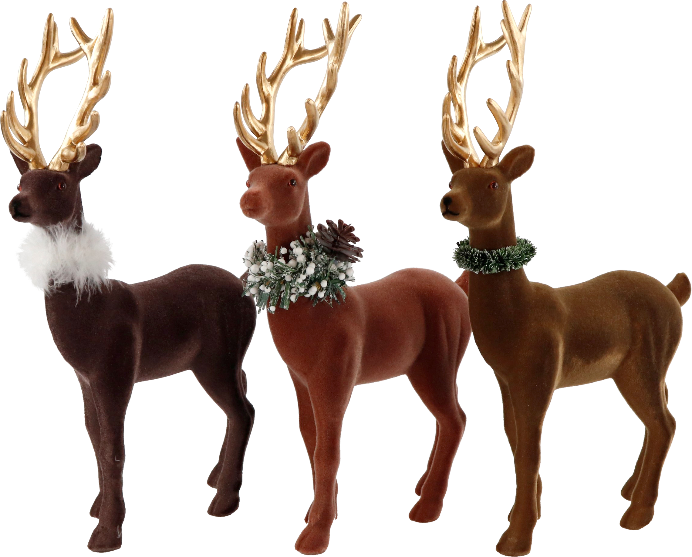 5743 HIRSCHE GINGER  S/3