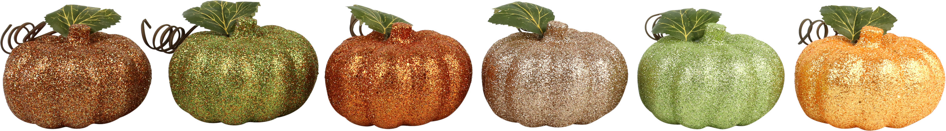 5750 ZIERKÜRBISSE HARVEST  S/6