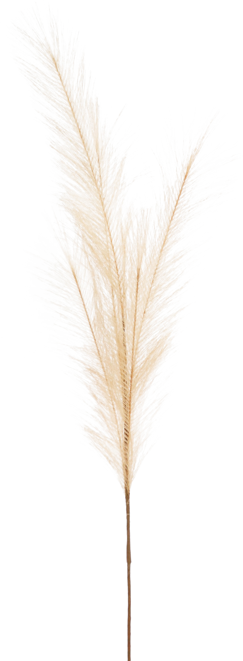 5982 ZIERFEDER SAND 80CM