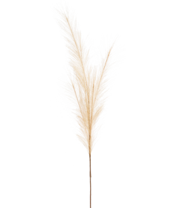 5982 FEATHER SAND 80CM
