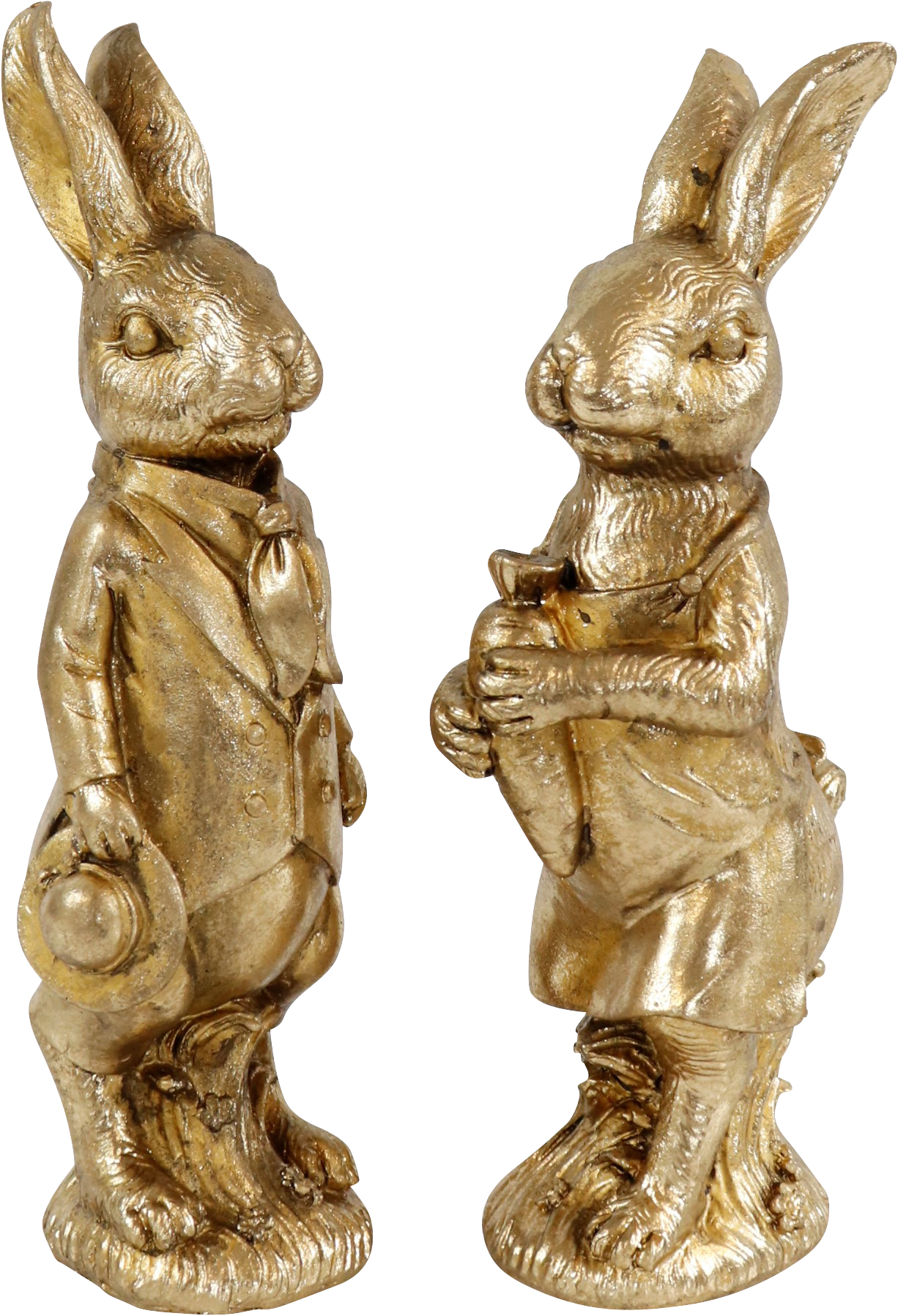 6536 GOLDHASEN NOSTALGIA S/2