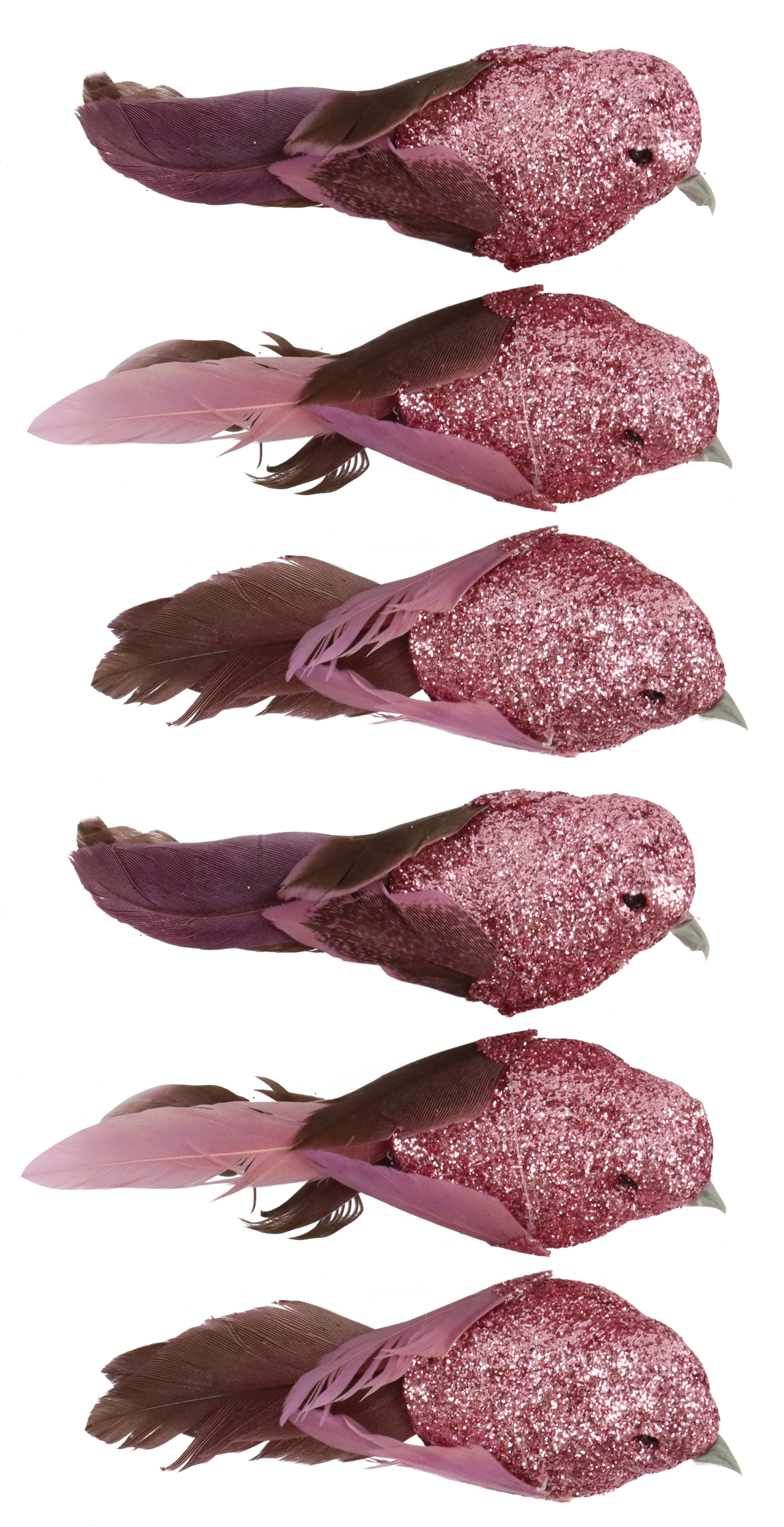 6663 VOGELKLAMMERN FEDERSTOLZ  S/6