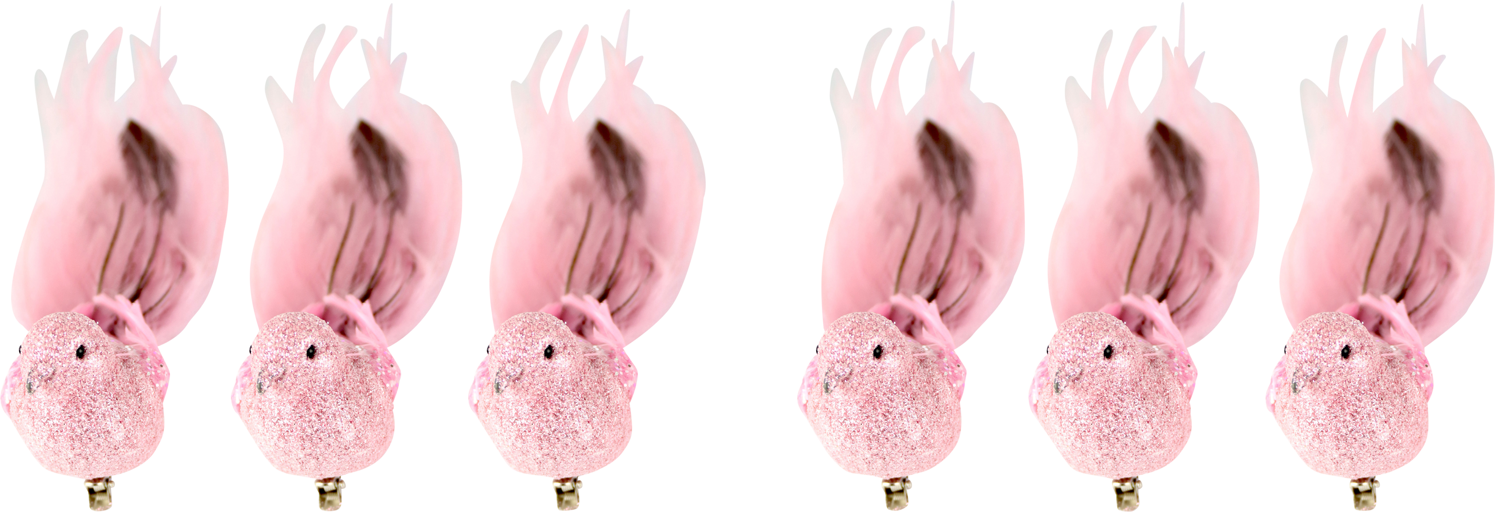 6664 VOGELKLAMMERN FEDERSTOLZ  S/6