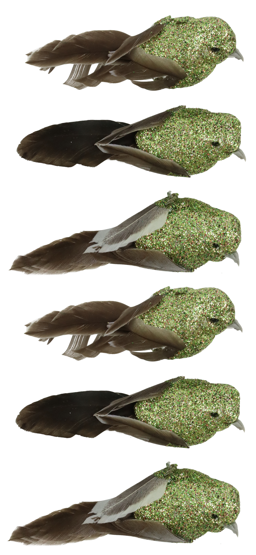 6666 VOGELKLAMMERN FEDERSTOLZ   S/6