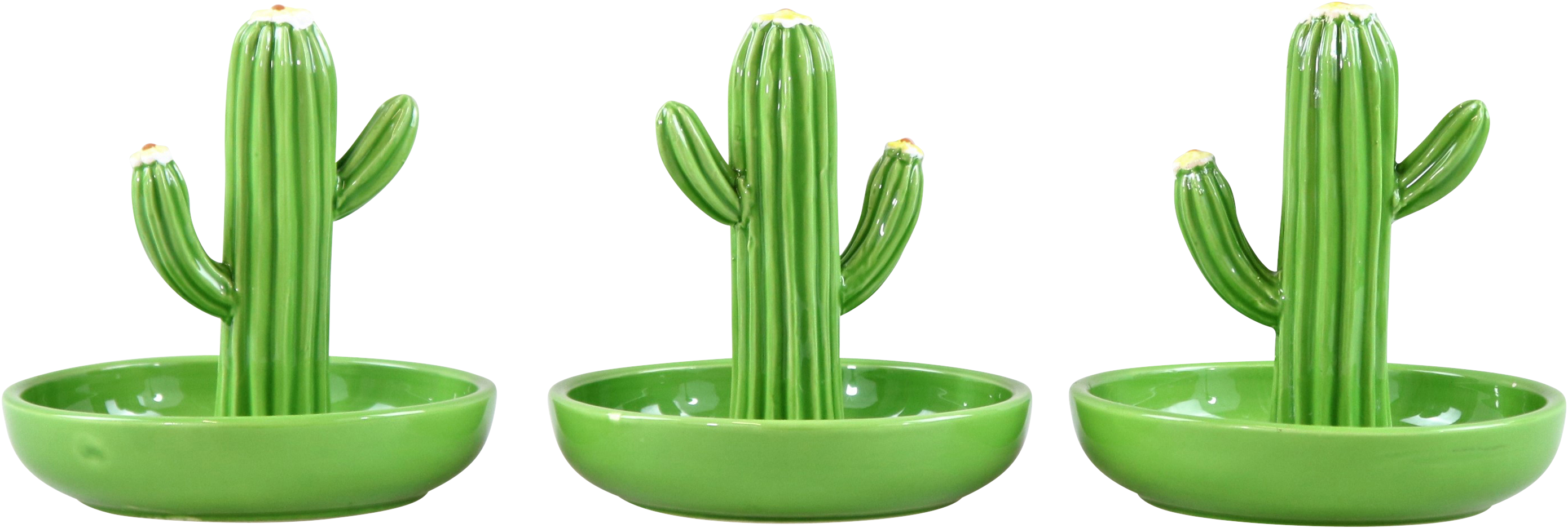 6752 SCHALENTRIO CACTUS  S/3