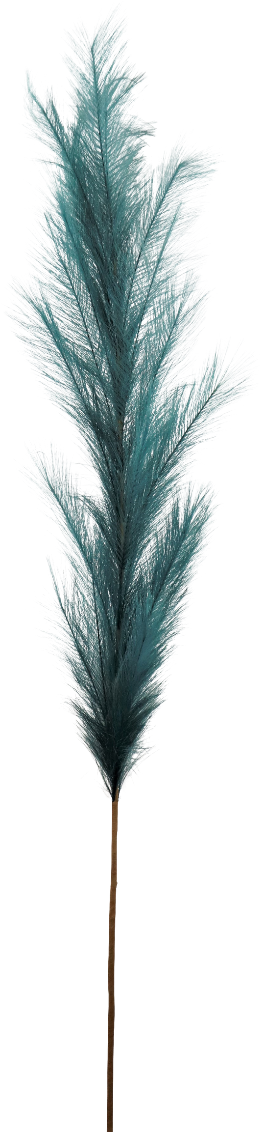 7160 ZIERFEDER PETROL 170CM