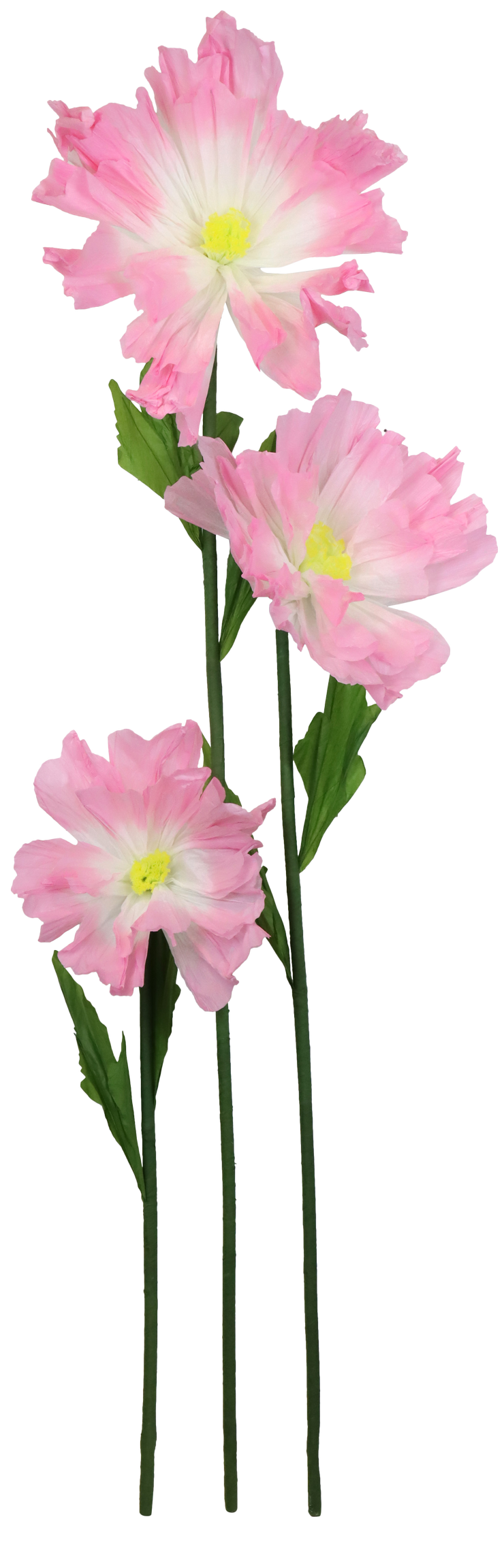 7952 RIESENBLUME FLEUR FANTASTIQUE  S/3