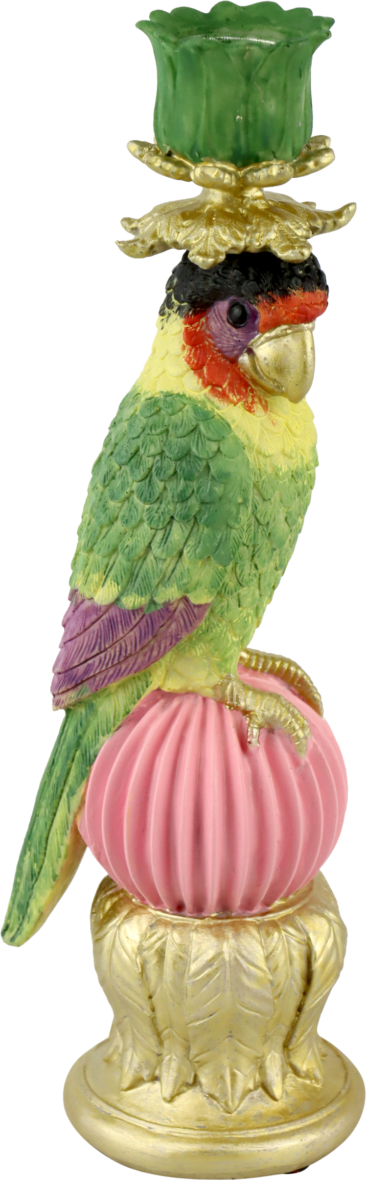 7955 LEUCHTER PARADISE PARROT