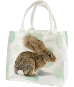 8910 BAG HASE